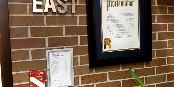 Interborough Developmental and Consultation Center - Canarsie Csl Center